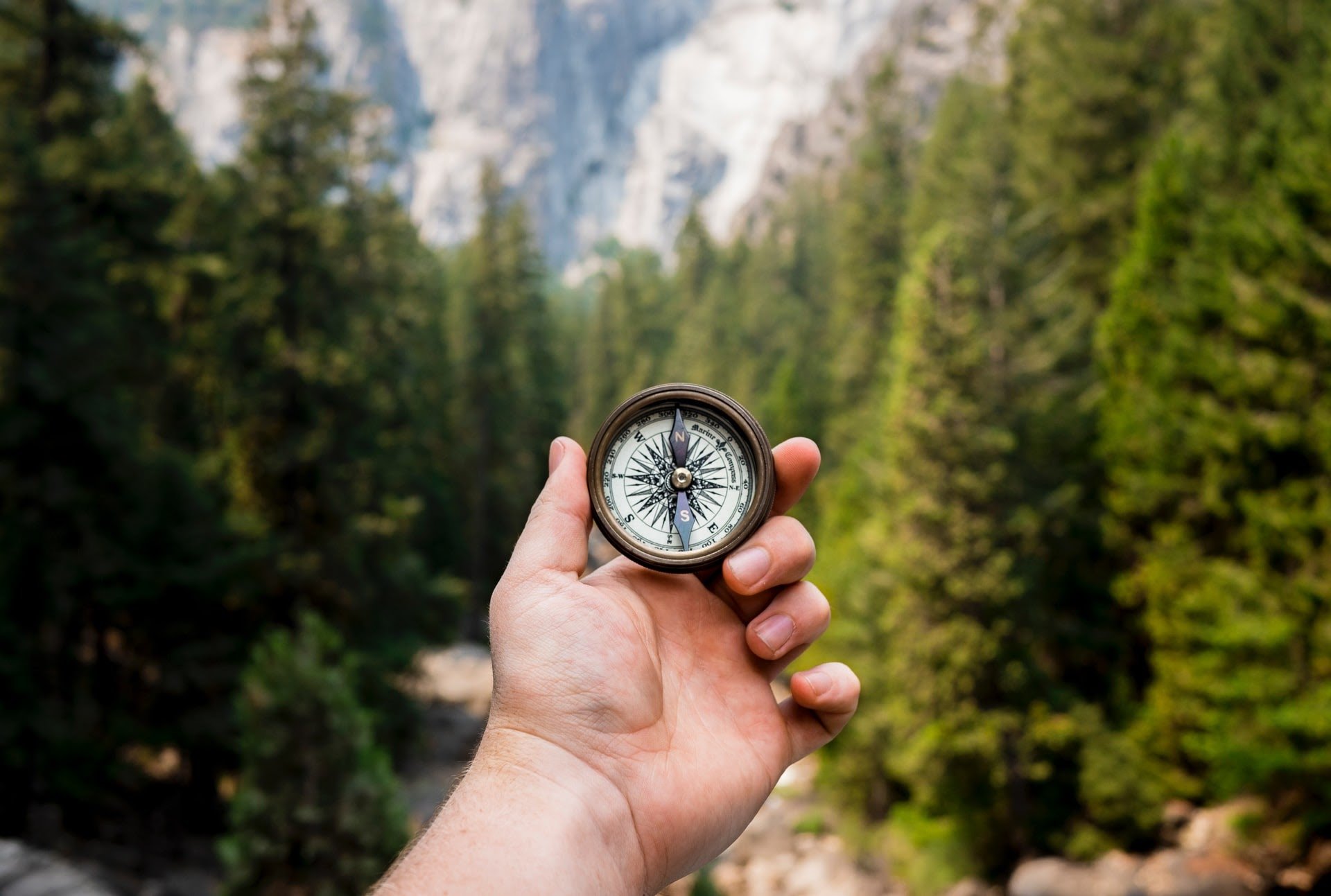hand-holding-compass-in-forest-finding-purpose